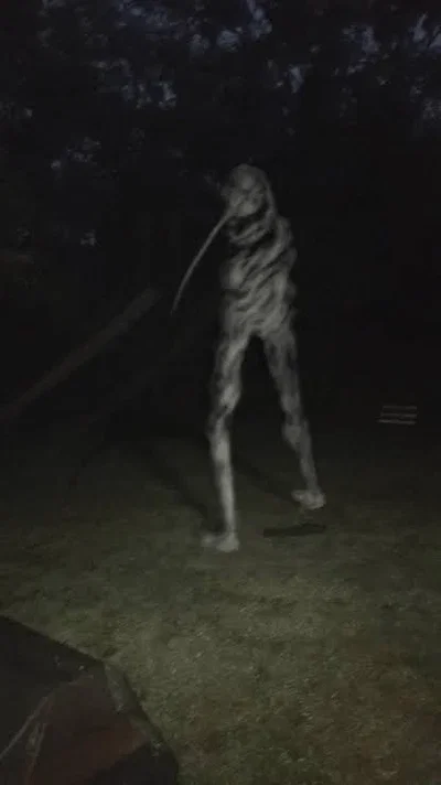 Night ganders ghost