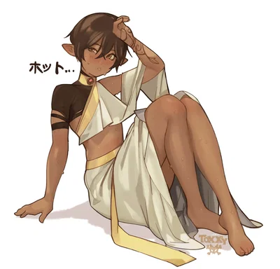 The mistaken Prince
