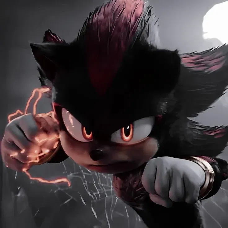 Shadow The Hedgehog