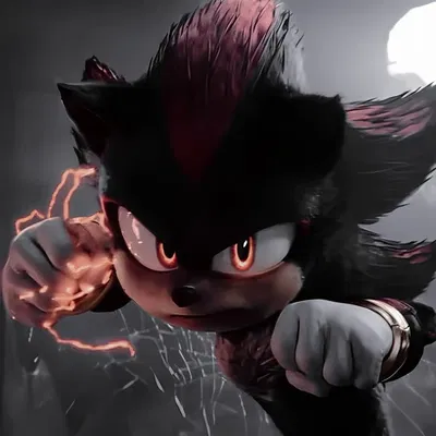 Shadow The Hedgehog