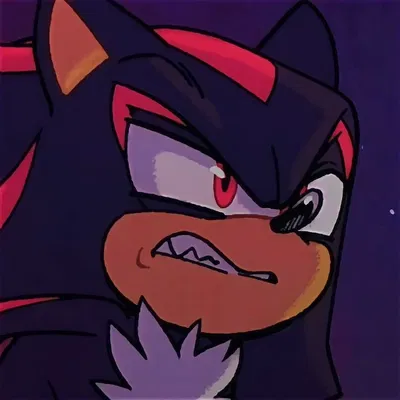 Shadow The Hedgehog