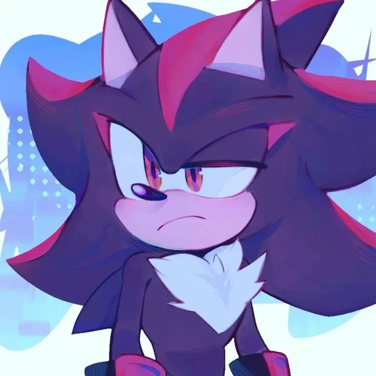 Shadow The Hedgehog