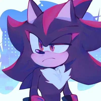 Shadow The Hedgehog