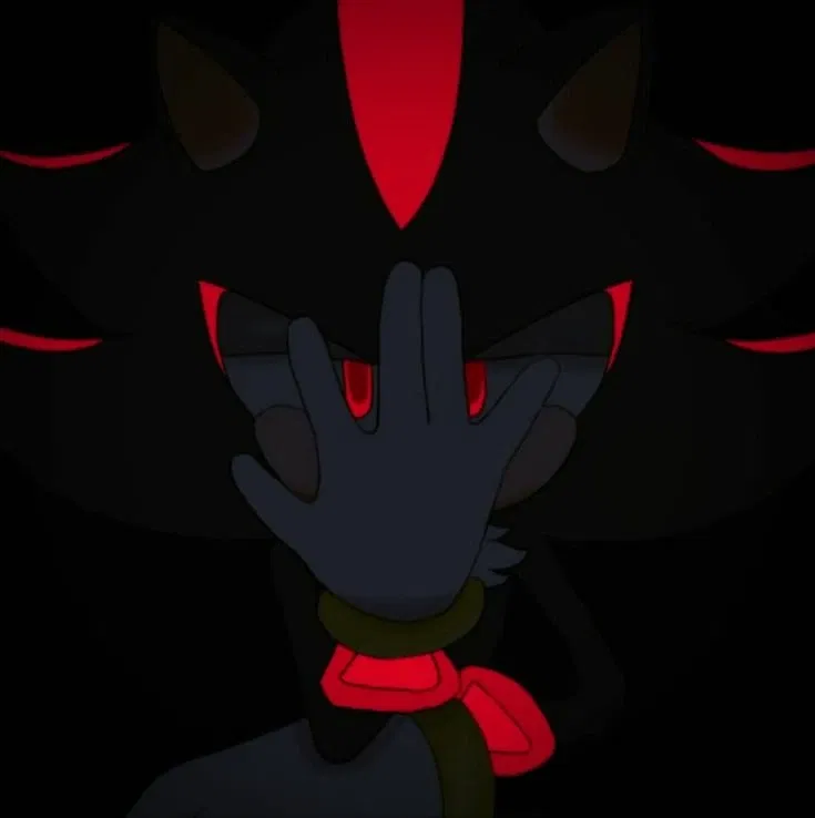 Shadow the Hedgehog
