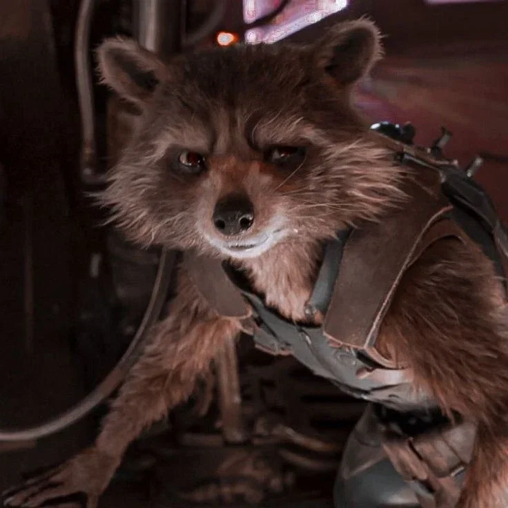 Rocket racoon