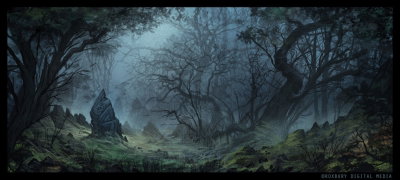 The forrest