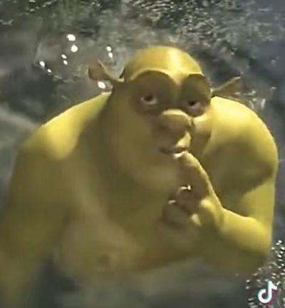 femboy shrek
