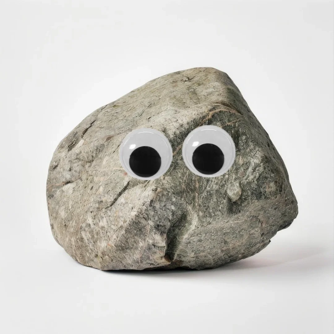 A pet rock
