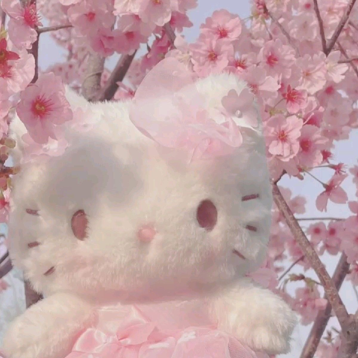ˎ。.。 BULLETIN BOARD 。.。ˎ