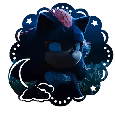 Shadow The Hedgehog [STH]