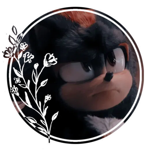 Shadow The Hedgehog [STH]