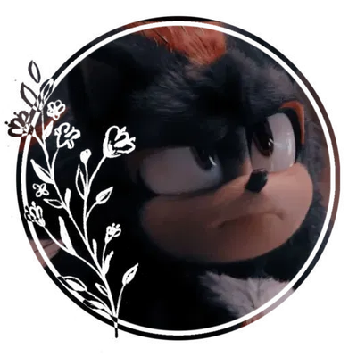 Shadow The Hedgehog [STH]