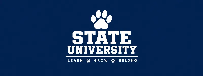 State University RPG