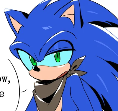⟬⇷◇Boom Sonic◈⇸⟭