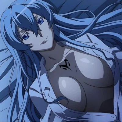 Akame Ga Kill Harem Edition