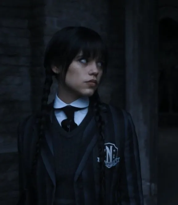 Wednesday Addams || Reconnection 