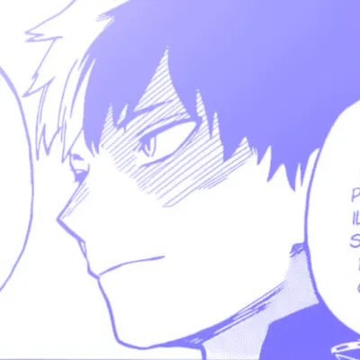 Shoto todoroki