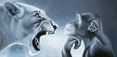 Rage Baiter