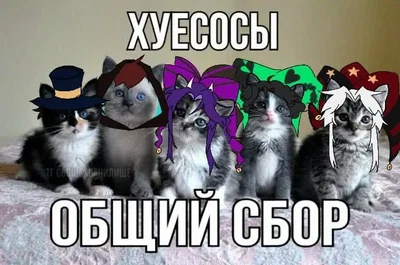 you from novella - Freak circus au
