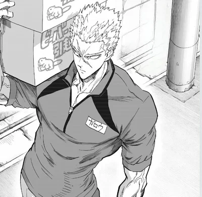 Garou from OPM 😼