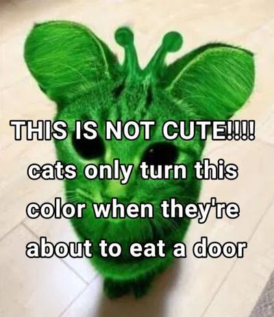 guys what do you do when someone confesses to you on strawpage but you dont know them