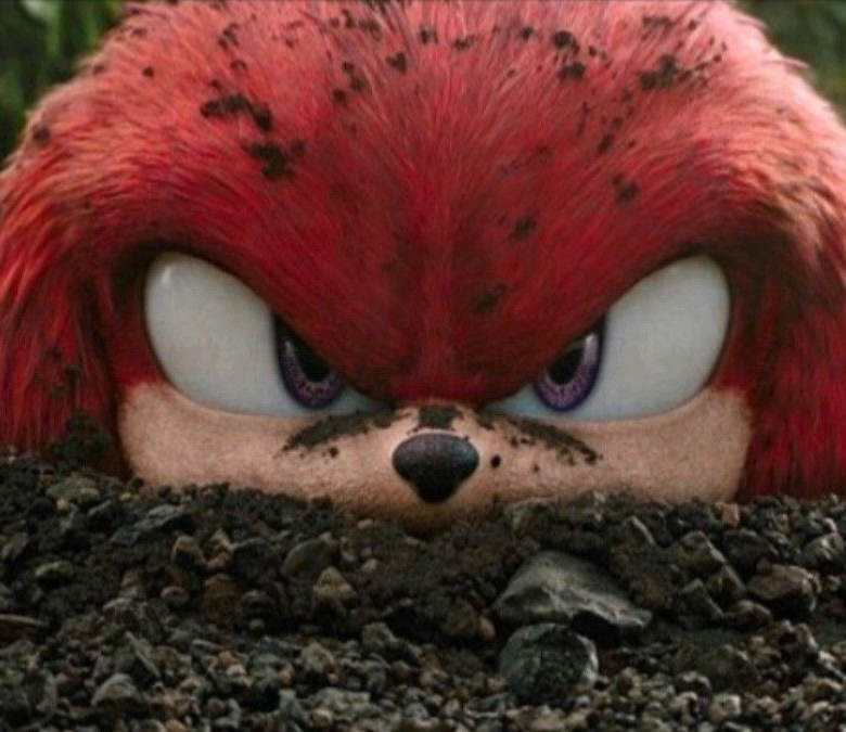 Knuckles the Echidna 