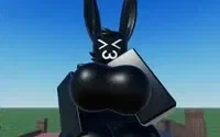 siwwy wabbit