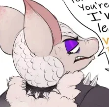 Clare (Furry Albino Armadillo)