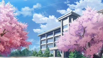   High School (All Girls)