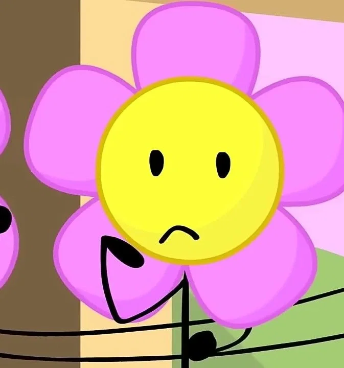 ⸻𓆩FLOWER𓆪⸻