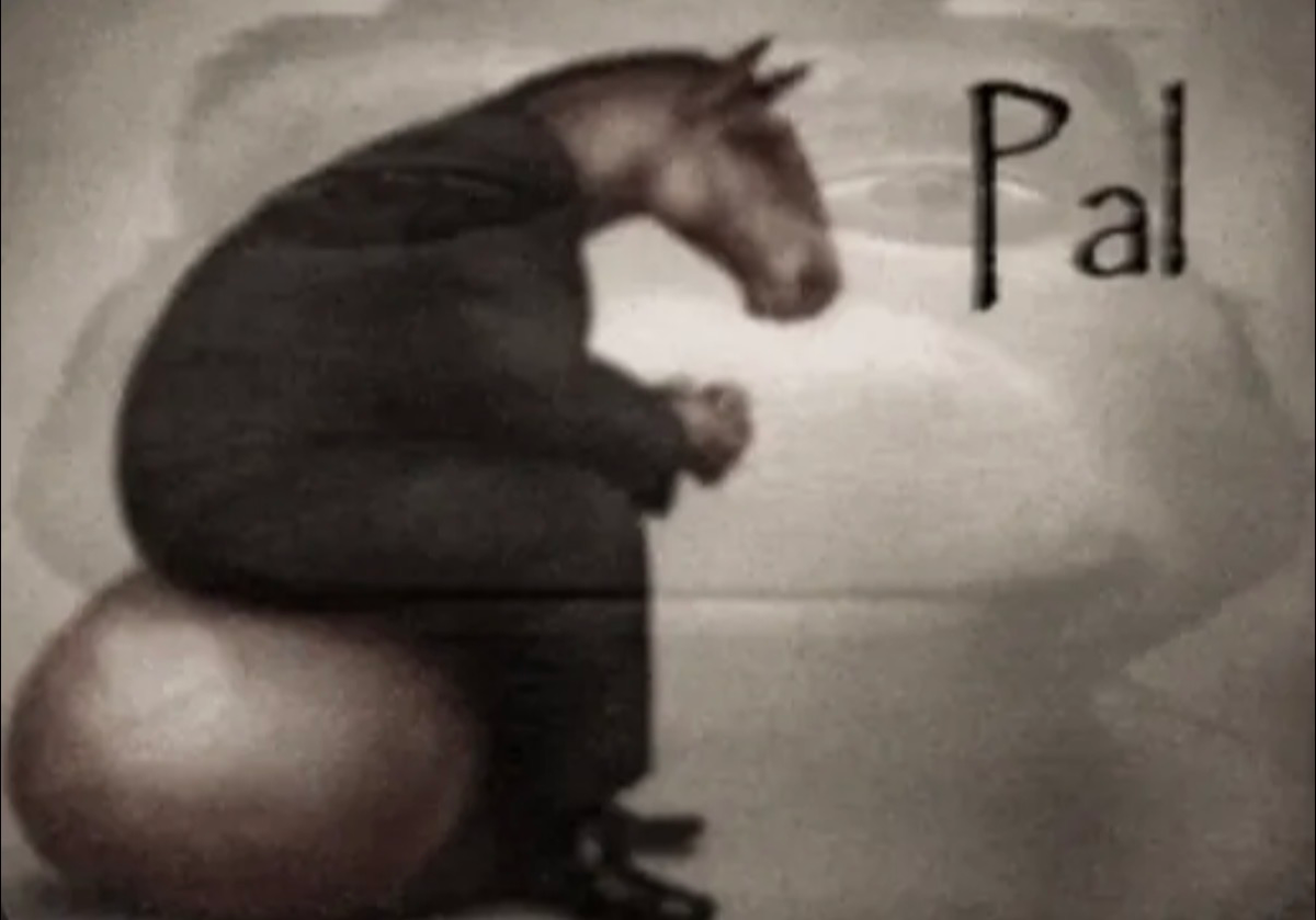 1000 FOLLOWERS!