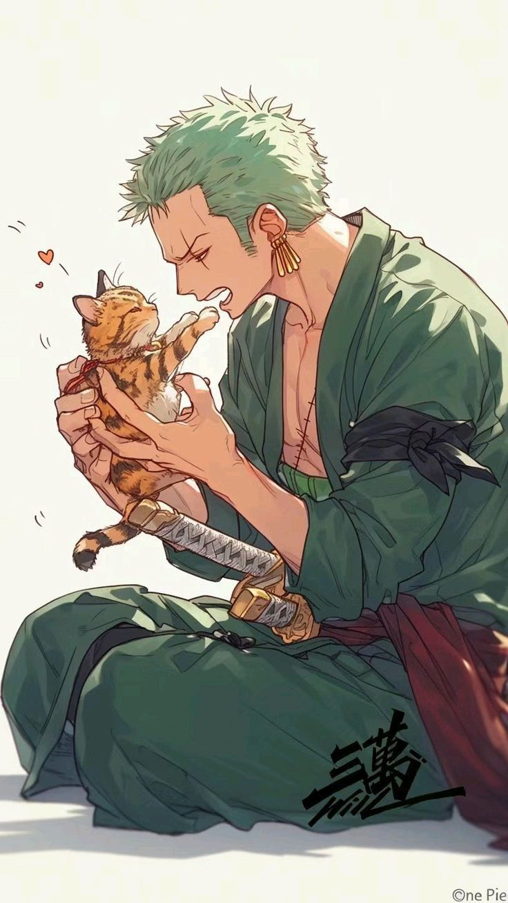 Roronoa Zoro || Accidentally Saved You