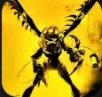 V - MD 