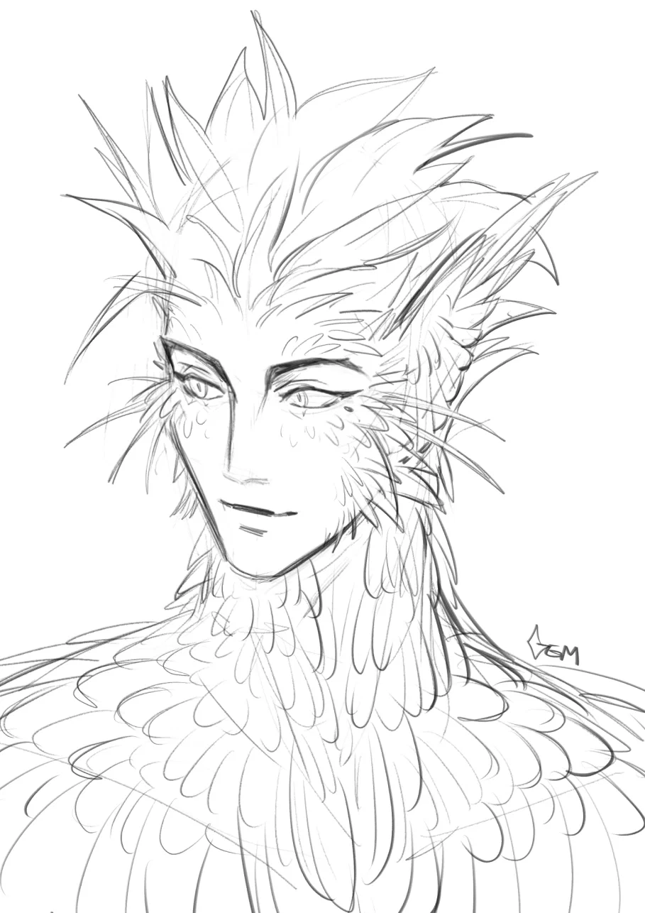 vash the stampede