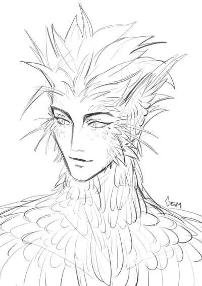 vash the stampede