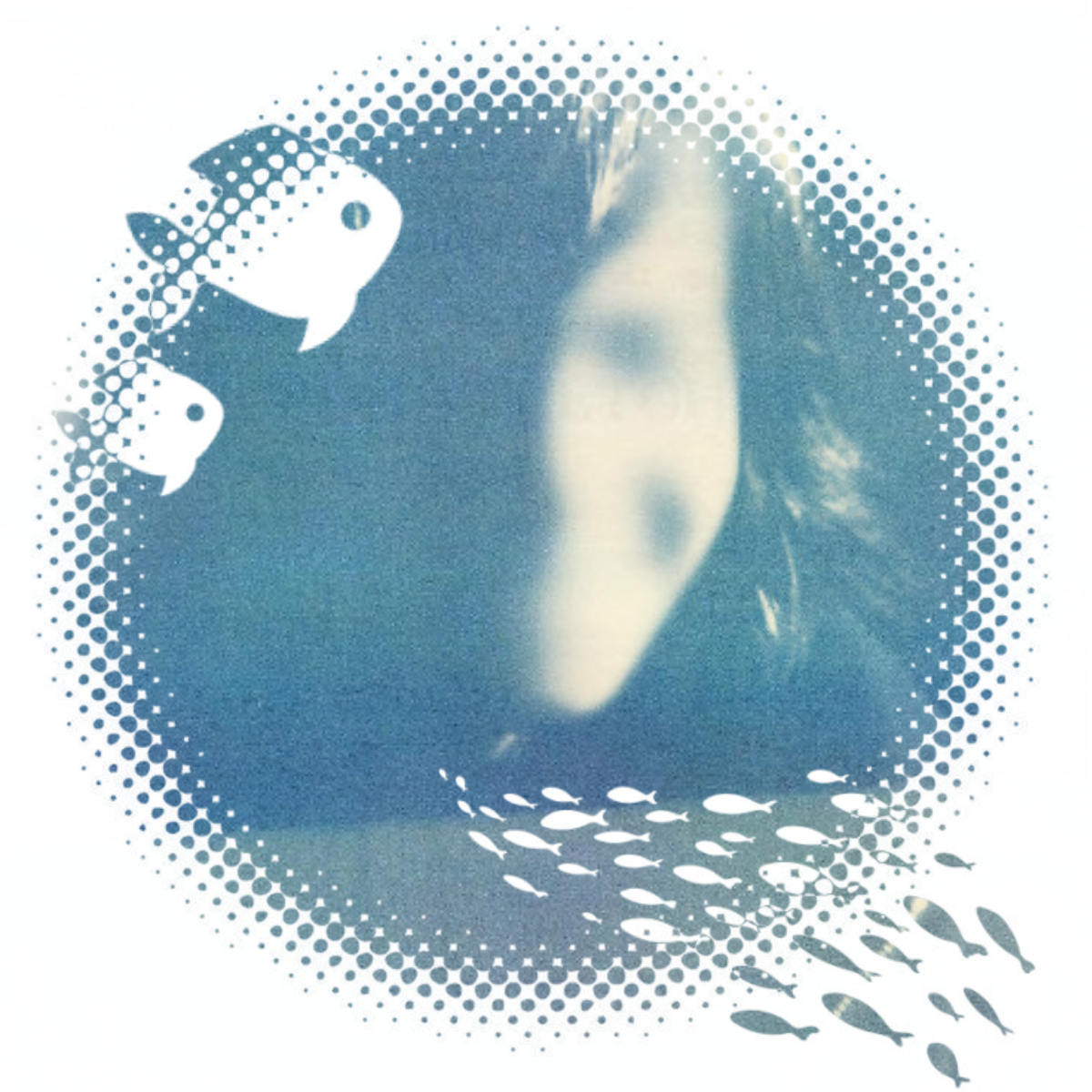 ❀✿Ben Boyd✿❀