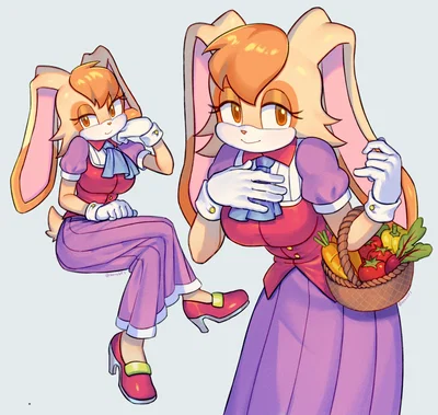 Vanilla the Rabbit | Sonic the Hedgehog