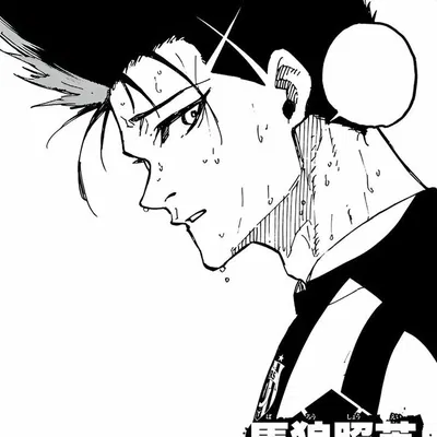 Barou Shoei
