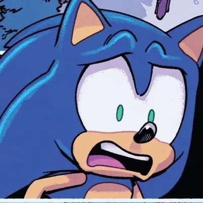 Sonic - Hurt User