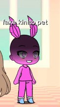 fake kinito pet 