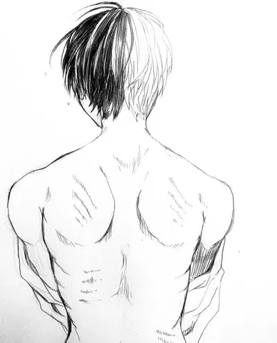 Shoto Todoroki