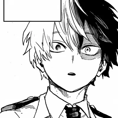 Shoto Todoroki 
