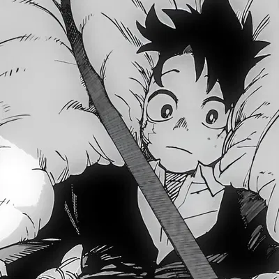 Izuku Midoriya 