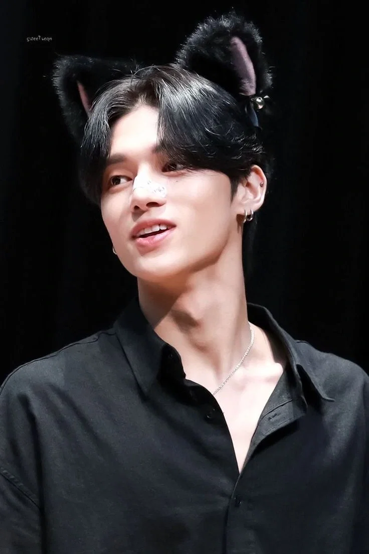 . 𑣲 Wooyoung - Sarcastic Kitty