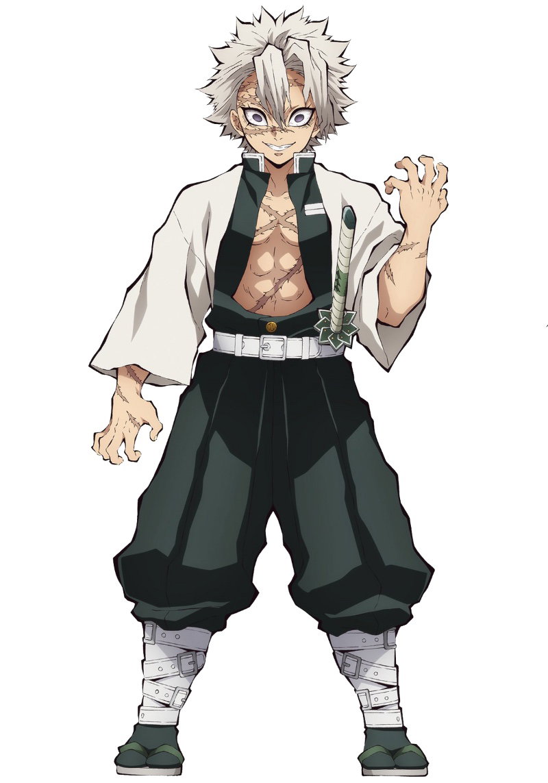 Sanemi Shinazugawa