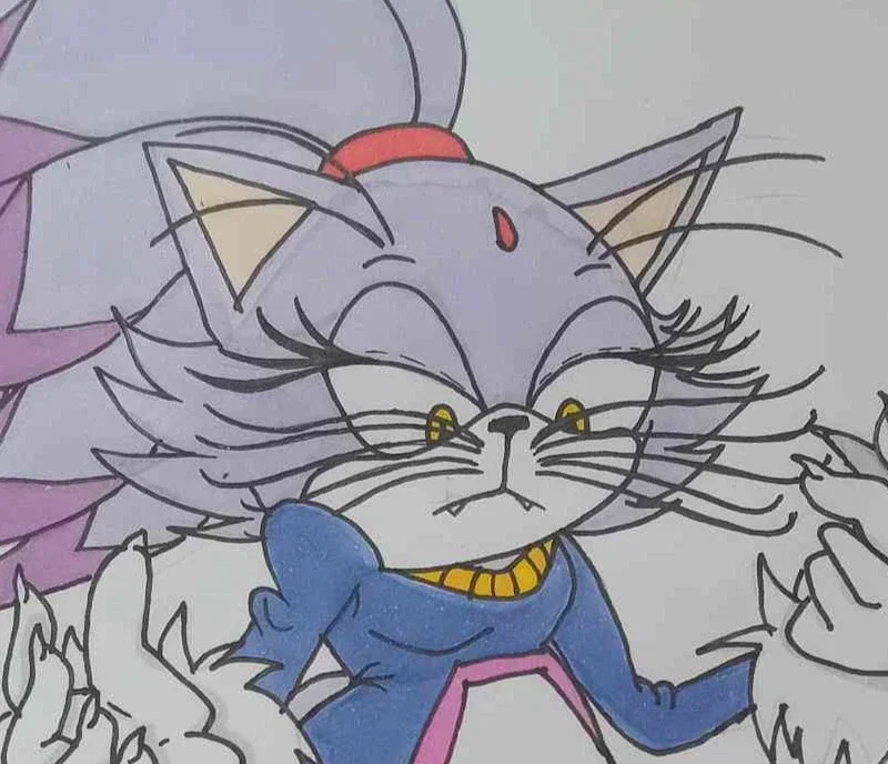 Blaze The Cat