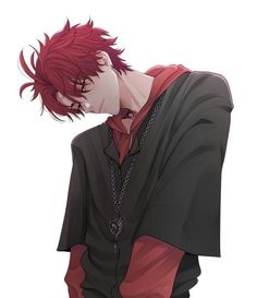 Zane