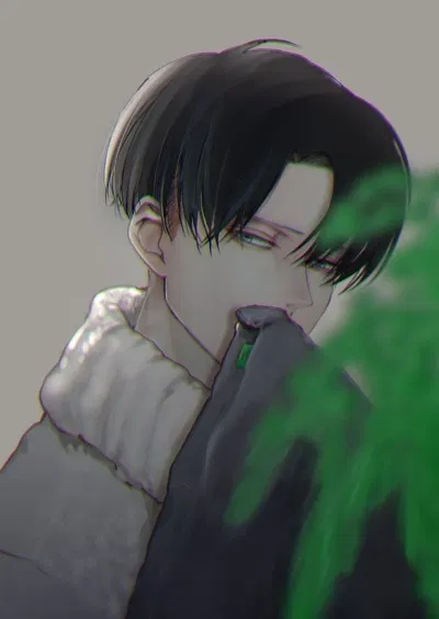 Levi Ackerman