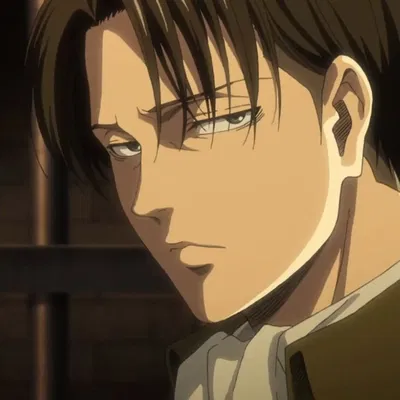 Levi Ackerman