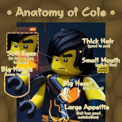 🪨 |  Cole Brookstone! 
